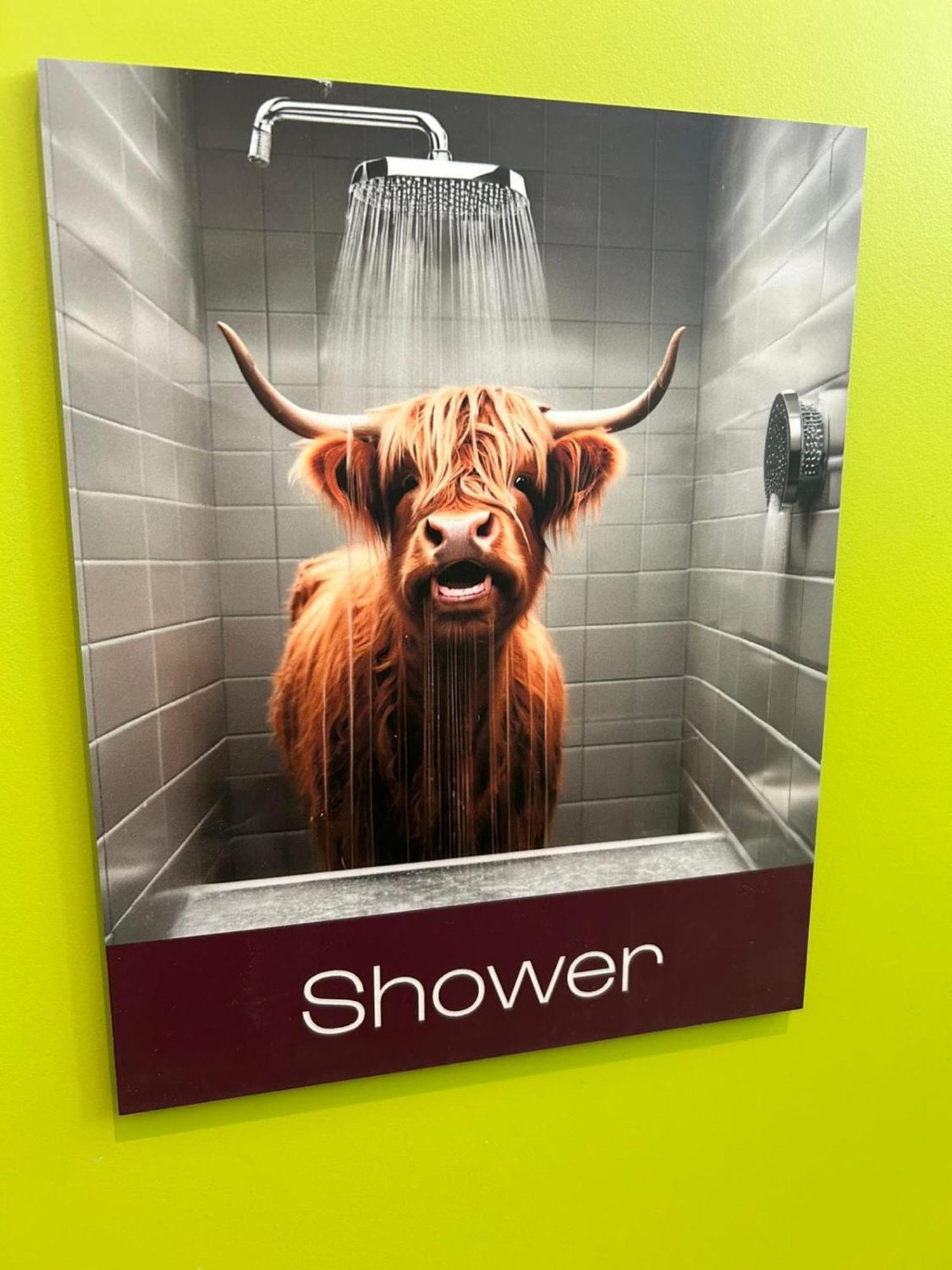 Safestay Edinburgh Cowgate Ngoại thất bức ảnh